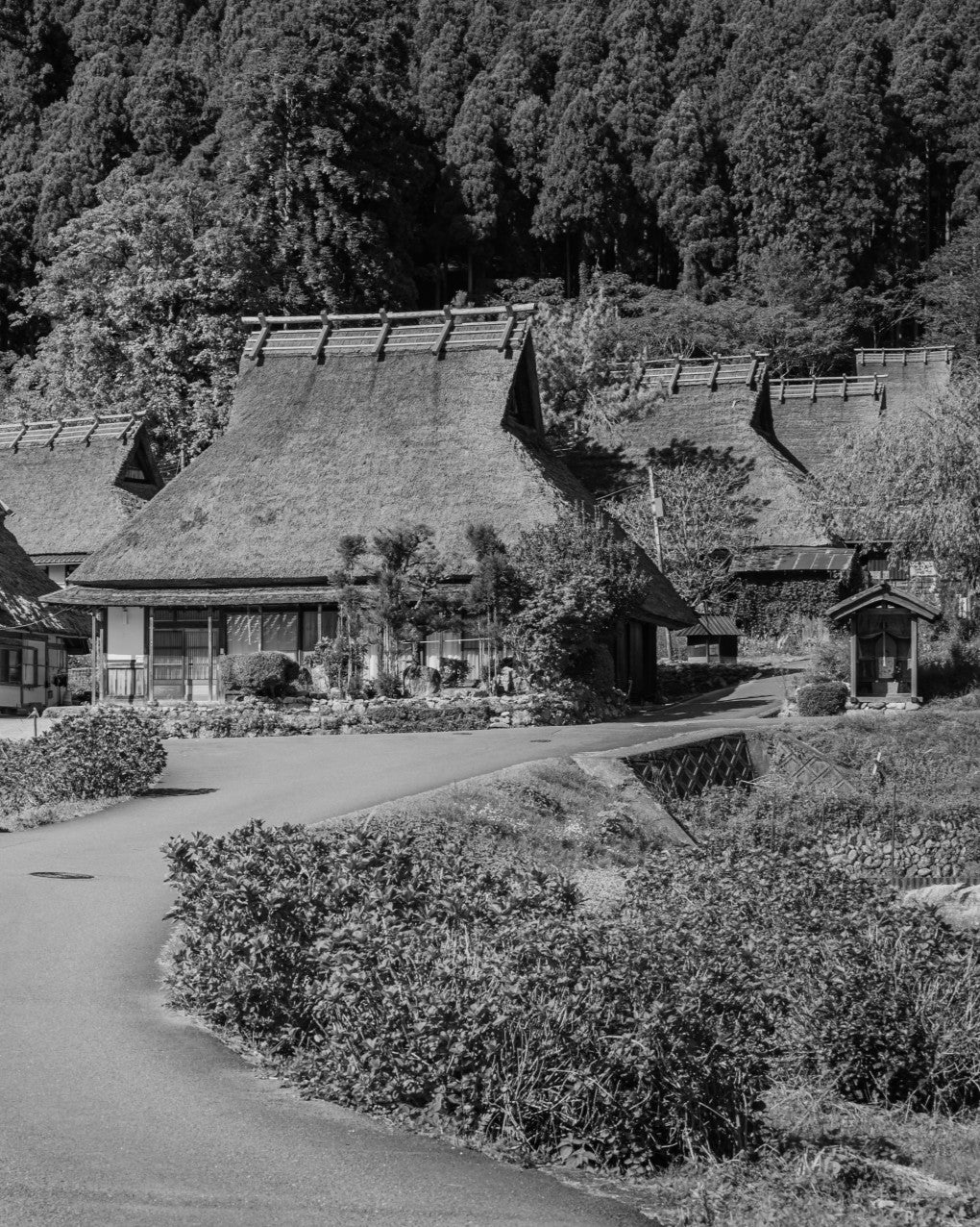 The satoyama offers a scene that relaxes the mind.