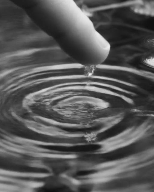 What is happiness for you?