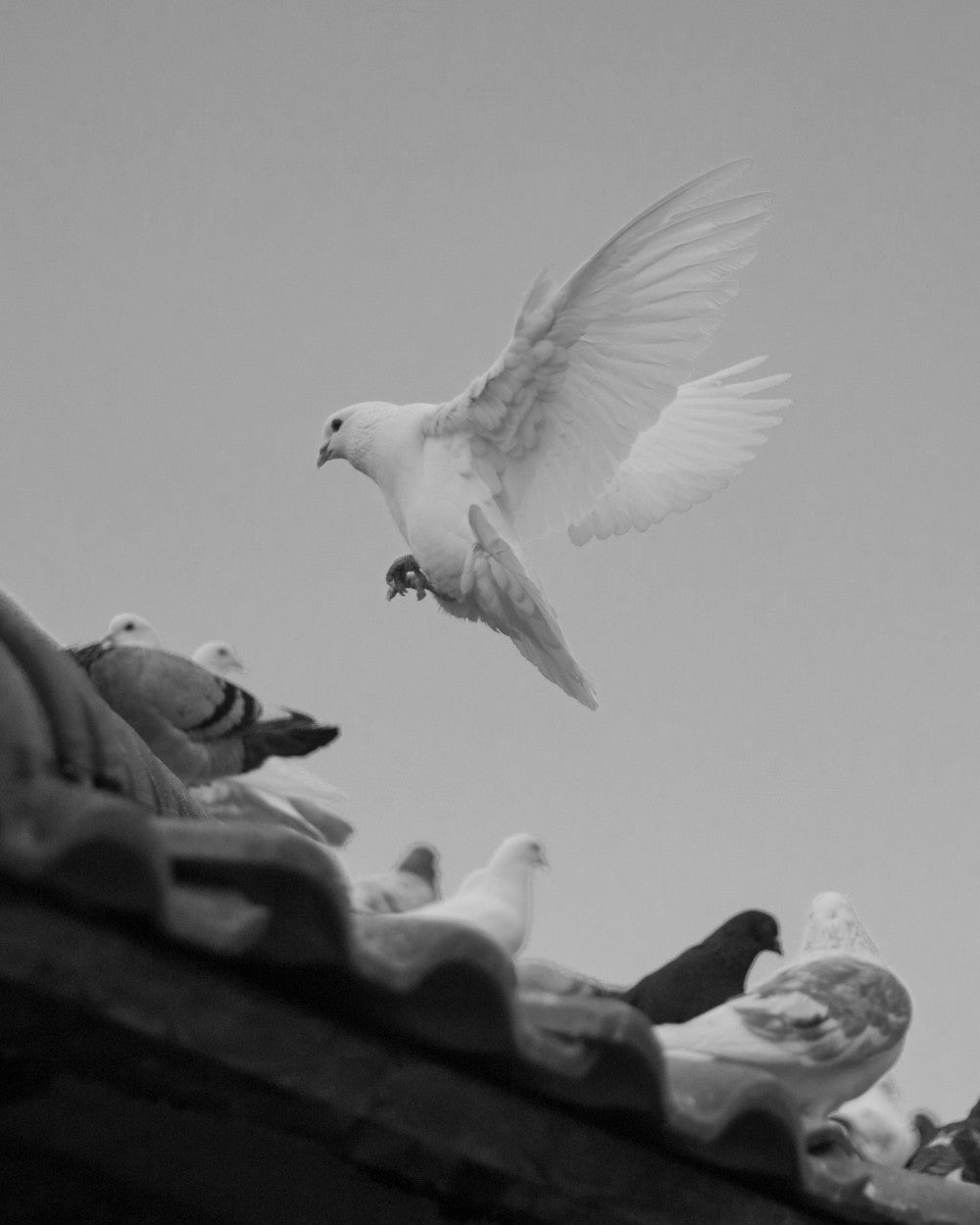 Peace is something that breathes in the calm of time.