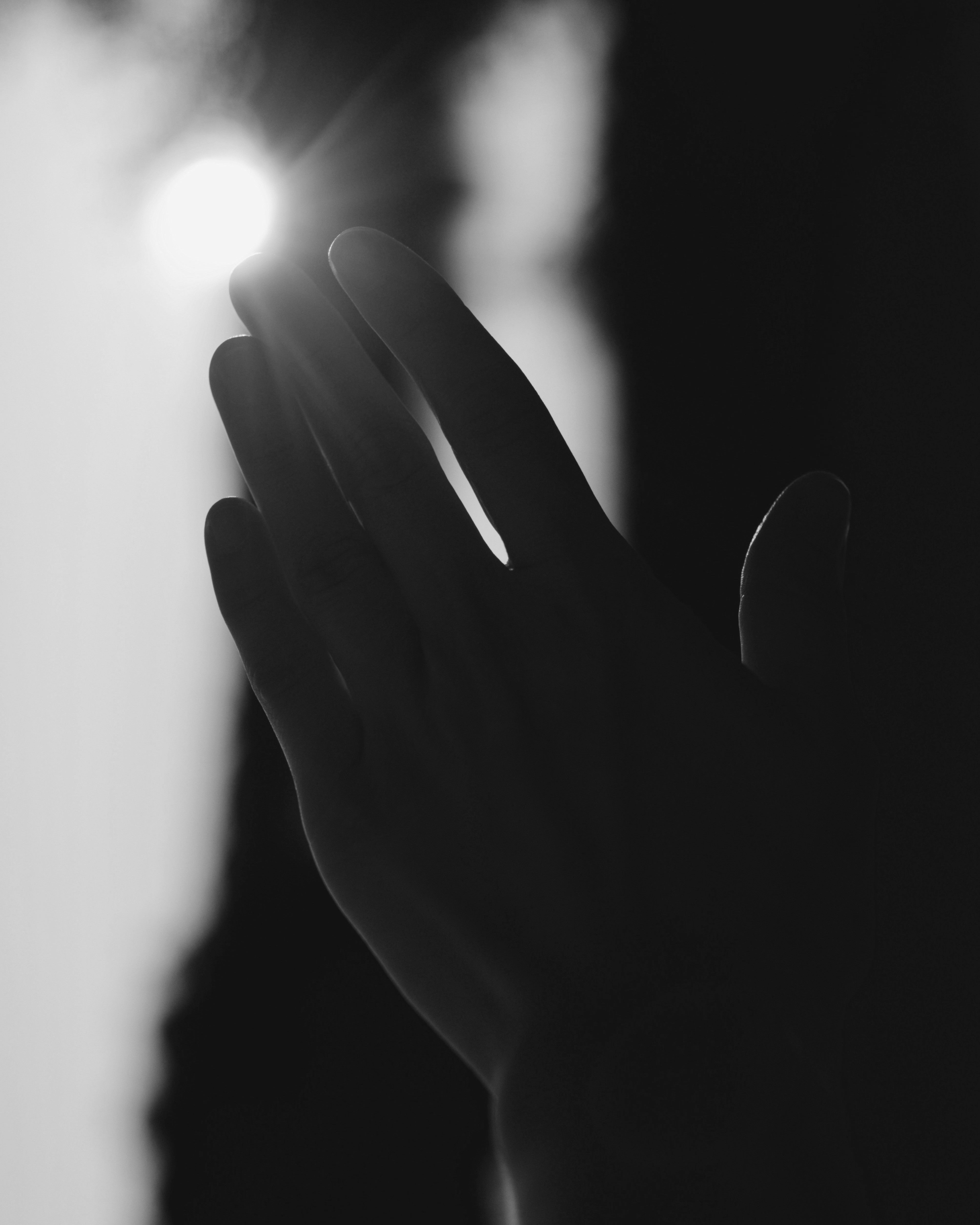 The buddha's teachings for eliminating suffering