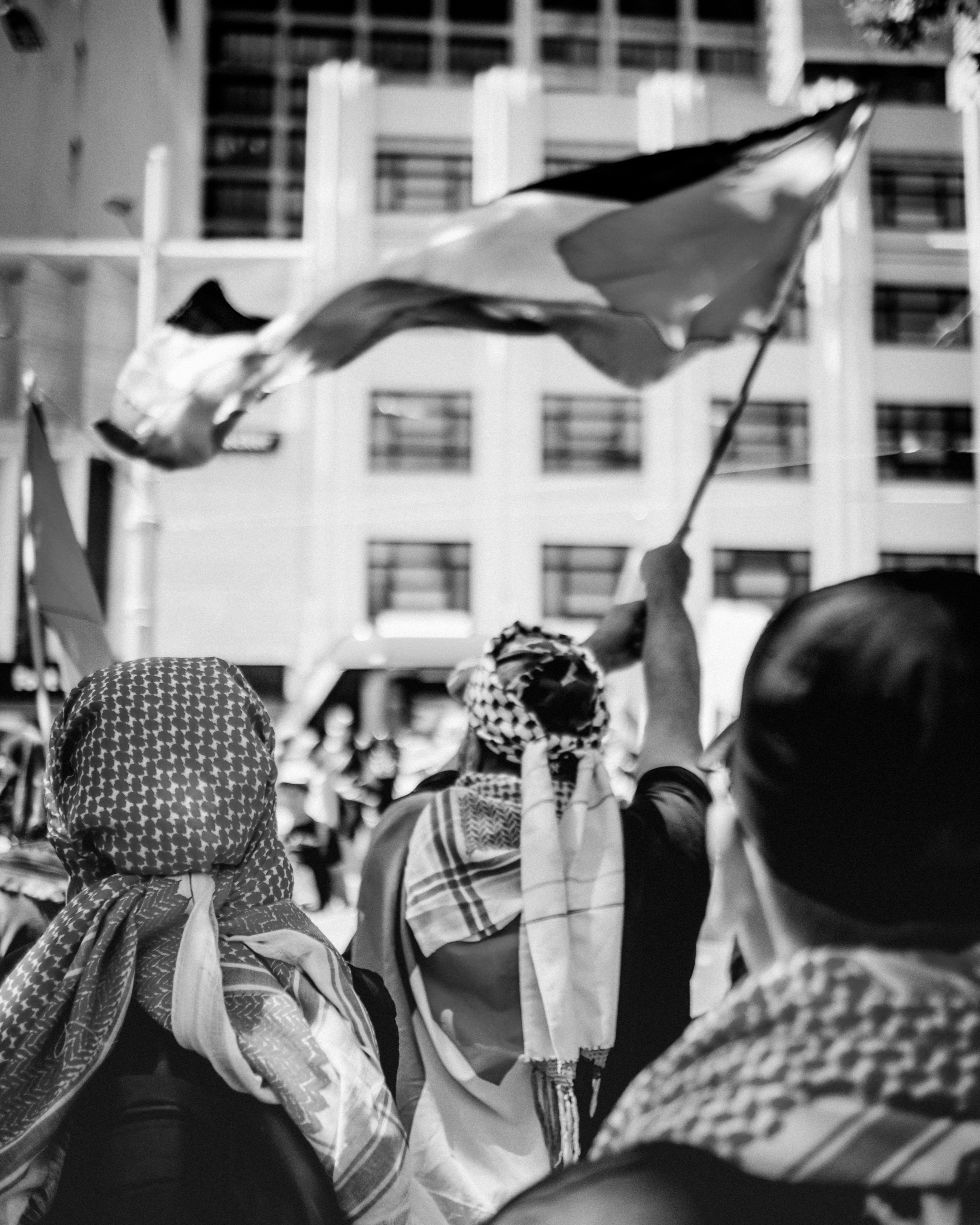 🇵🇸 Palestine Emergency-Support Collection ーNew Release & Donation Announcement