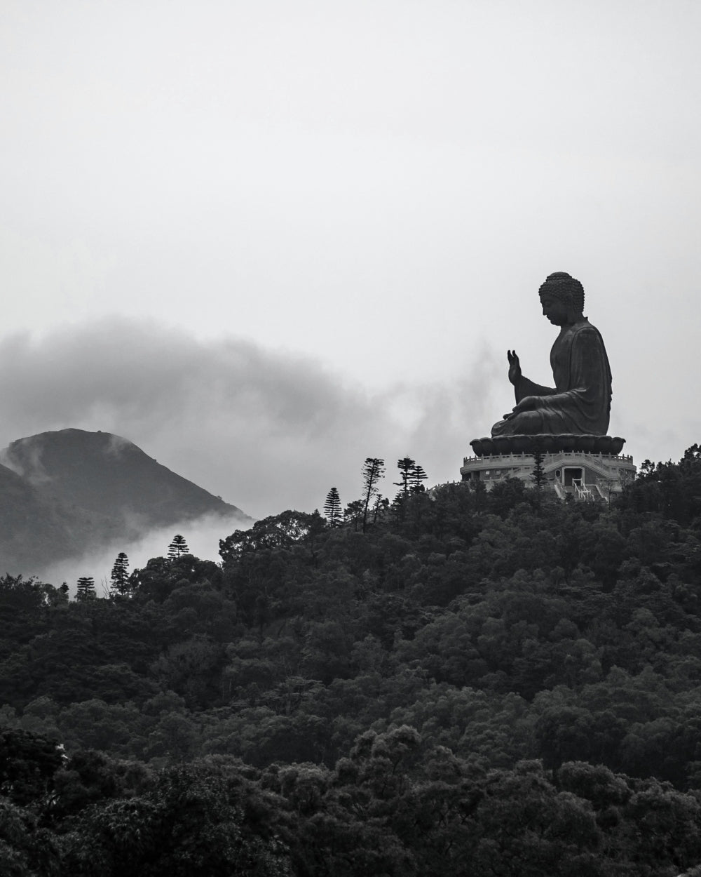 What is "Bodhicitta"?