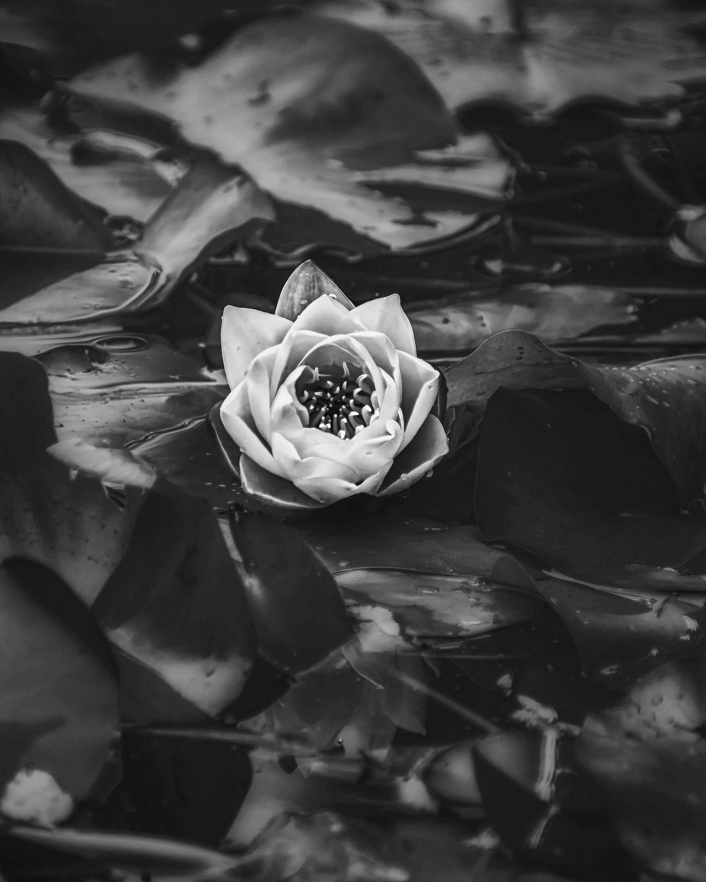 What does happiness mean to you?